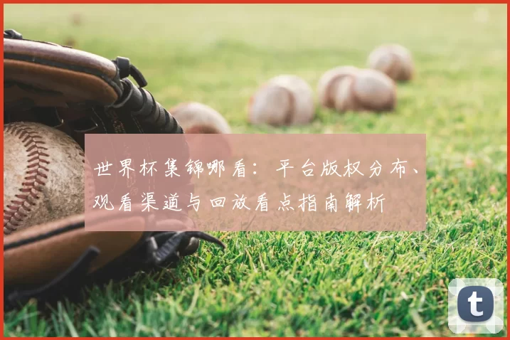 世界杯集锦哪看：平台版权分布、观看渠道与回放看点指南解析