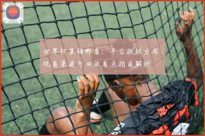世界杯集锦哪看：平台版权分布、观看渠道与回放看点指南解析