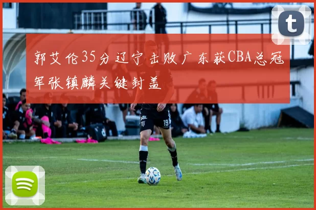 郭艾伦35分辽宁击败广东获CBA总冠军张镇麟关键封盖