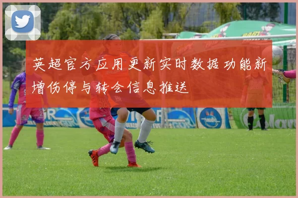英超官方应用更新实时数据功能新增伤停与转会信息推送