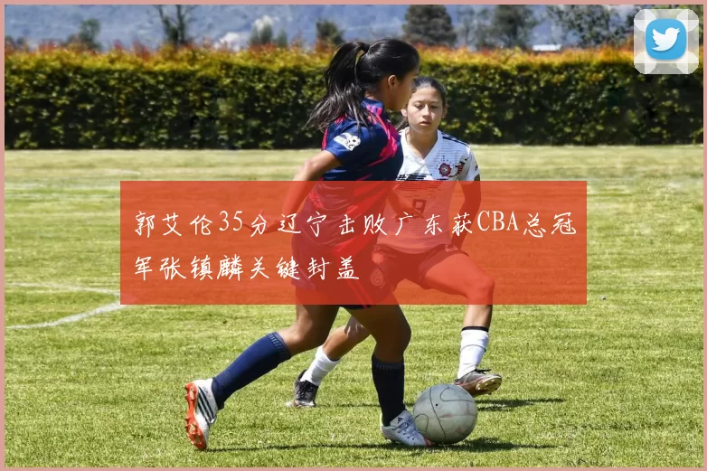 郭艾伦35分辽宁击败广东获CBA总冠军张镇麟关键封盖